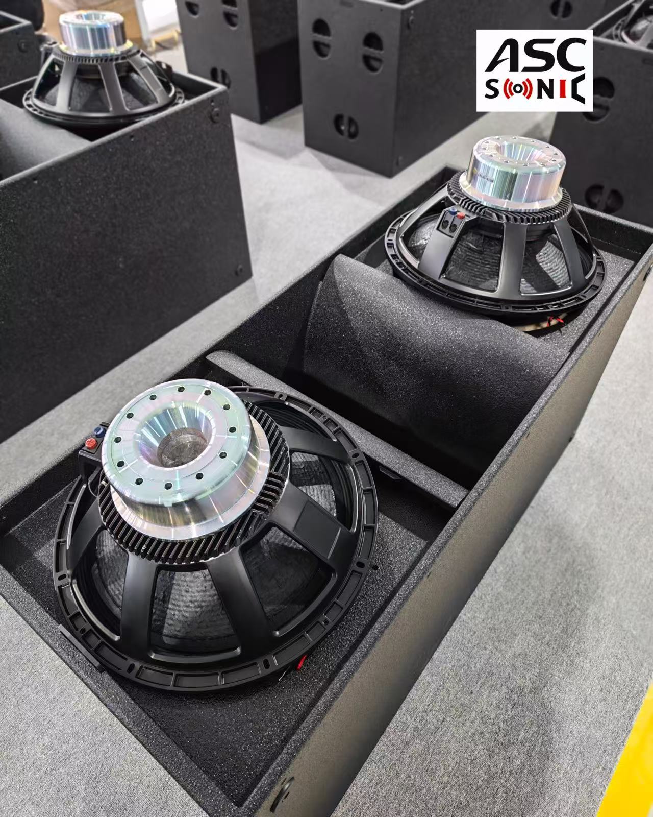 LS-218 dual 18 inch subwoofer assembly 3 LS-218 Dual-18-Zoll-Subwoofer-Baugruppe 3