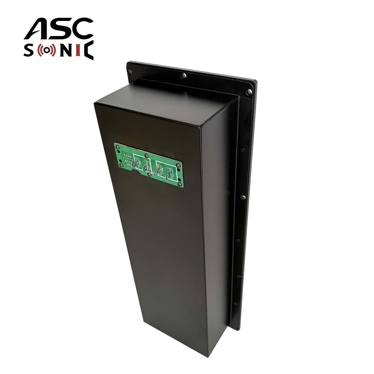 AM252 2 Way DSP Plate Amplifier 250W Compact Active Speaker Amplifier Module
